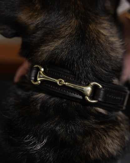 Connection - Horsebit Hundehalsbånd - Hazelnut