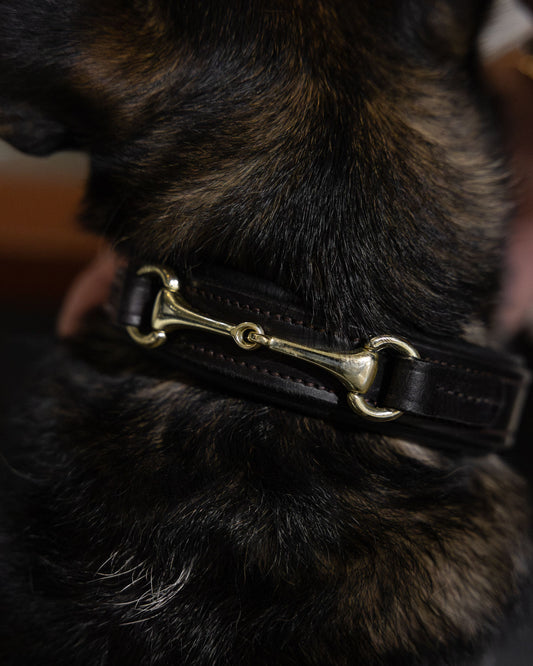 Connection - Horsebit Hundehalsbånd - Havana Brown