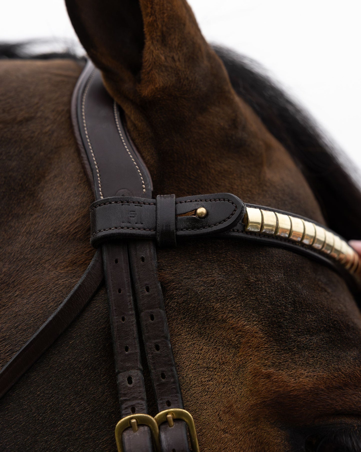 Elegance - Clinchers Pannebånd - Noir